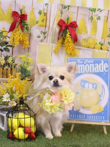 20240421とわくん